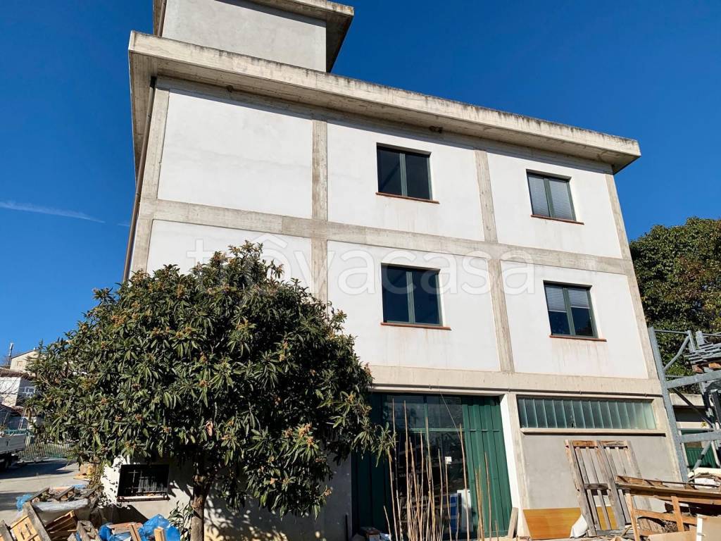 immagine annuncio 4 di 6