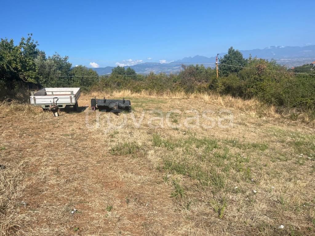 immagine annuncio 1 di 3