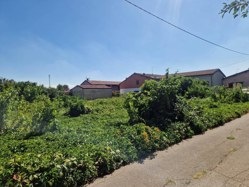 immagine annuncio 11 di 15