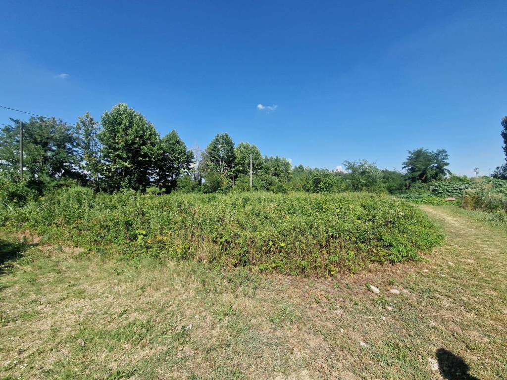 immagine annuncio 12 di 15