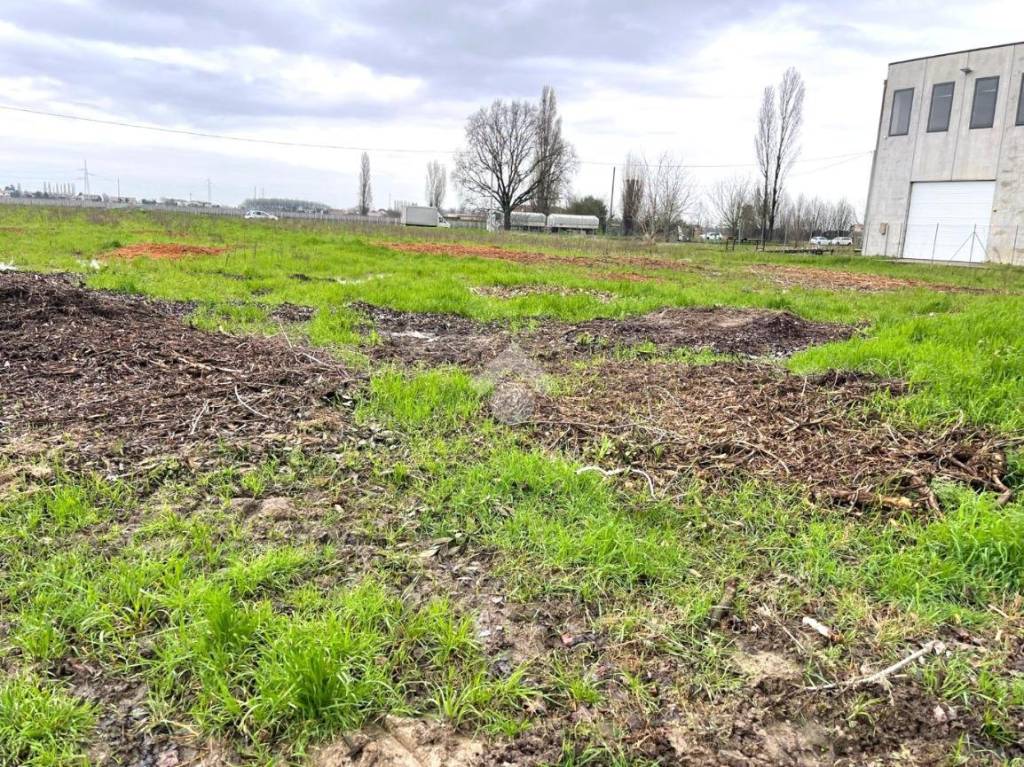 immagine annuncio 5 di 15