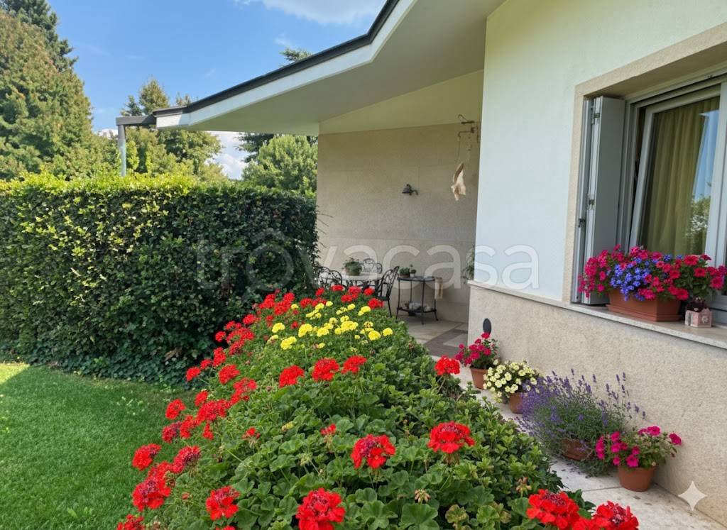 immagine annuncio 5 di 12