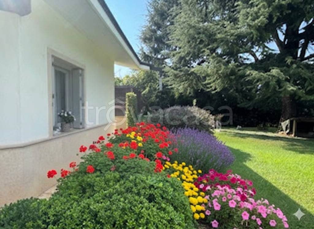 immagine annuncio 11 di 12