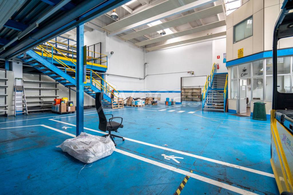 immagine annuncio 6 di 15