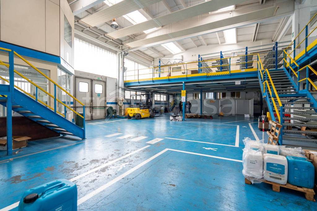 immagine annuncio 9 di 15