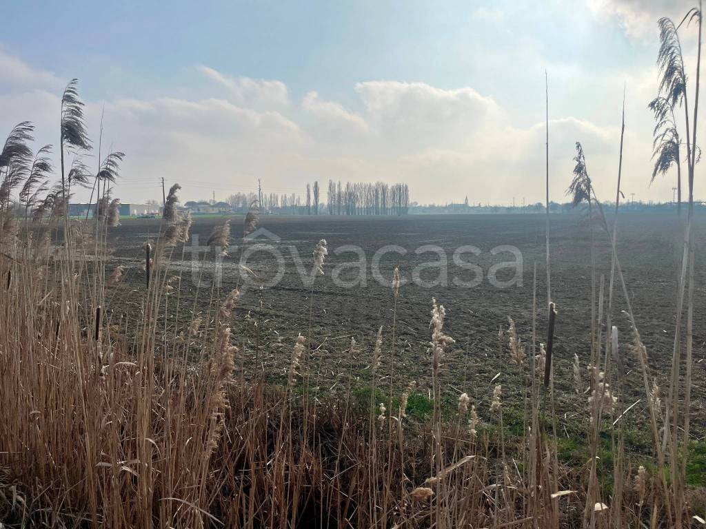 immagine annuncio 4 di 6