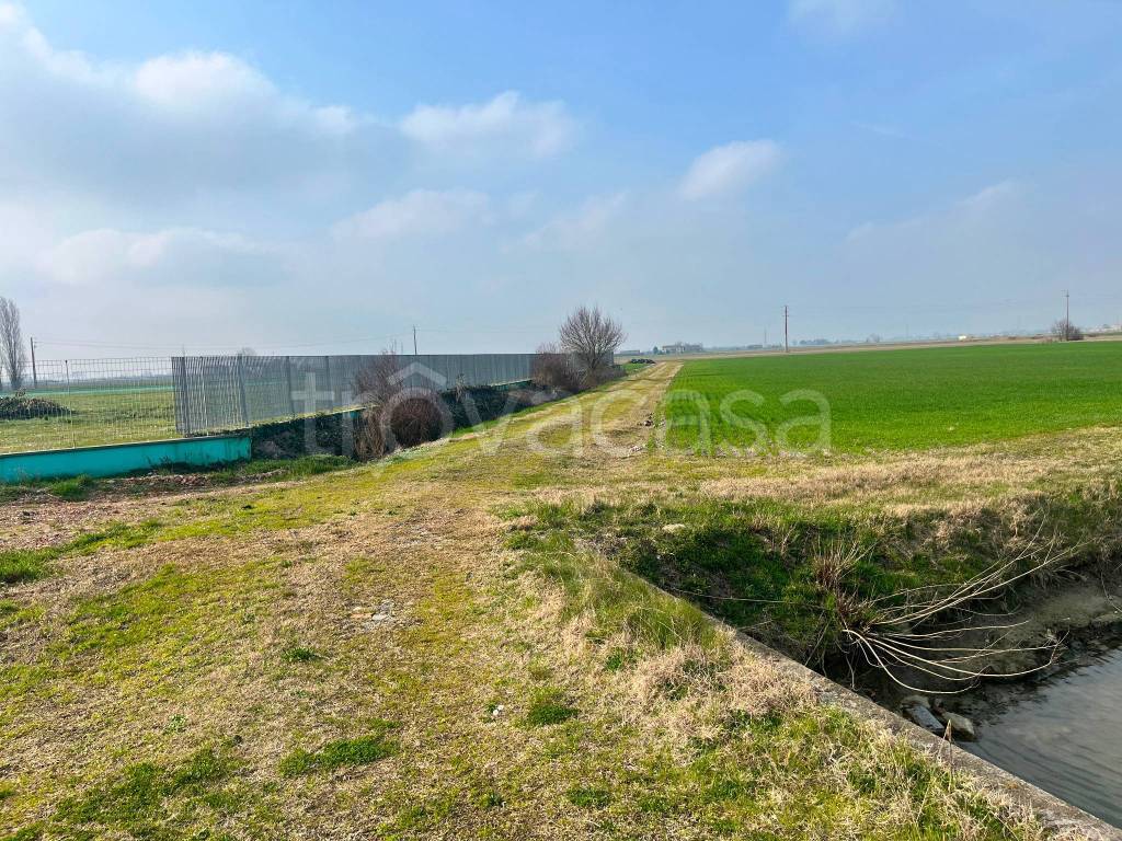 immagine annuncio 5 di 6