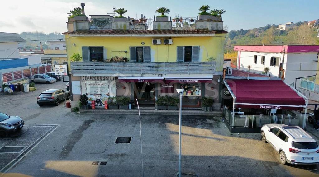 immagine annuncio 12 di 14