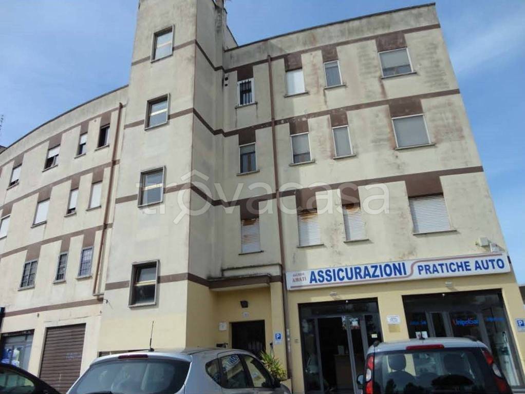 immagine annuncio 1 di 14