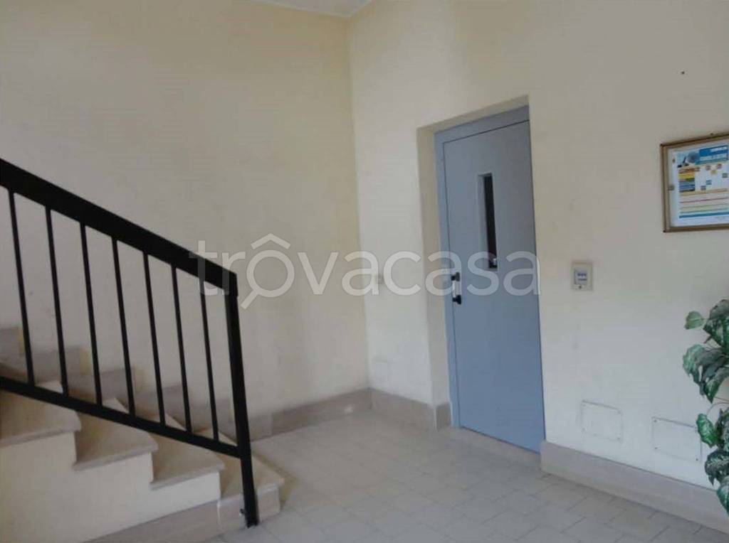 immagine annuncio 4 di 14