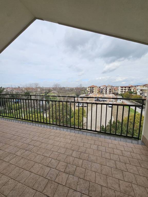 immagine annuncio 11 di 14