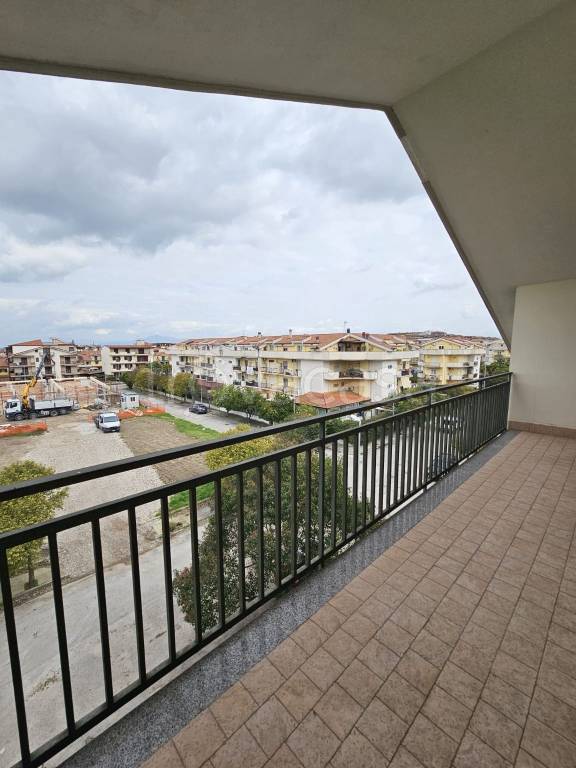 immagine annuncio 12 di 14