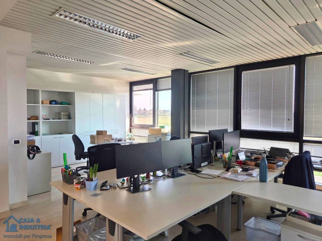 immagine annuncio 12 di 15