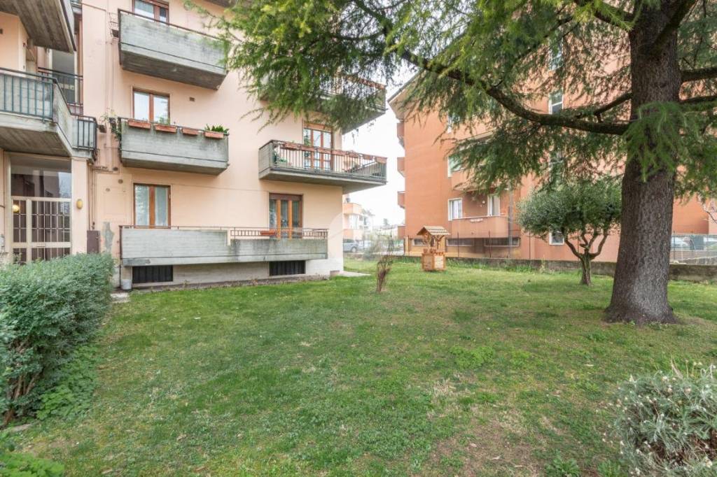 immagine annuncio 1 di 9