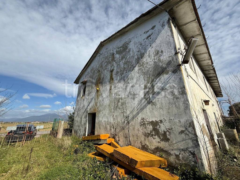 immagine annuncio 4 di 6