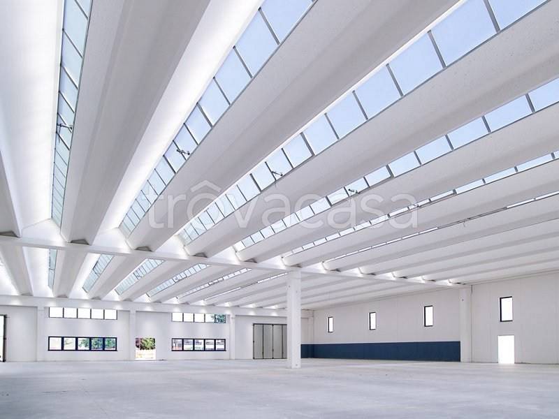 immagine annuncio 2 di 7