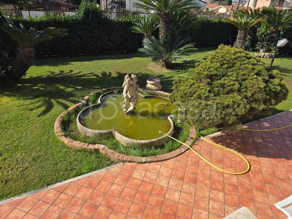 immagine annuncio 9 di 12