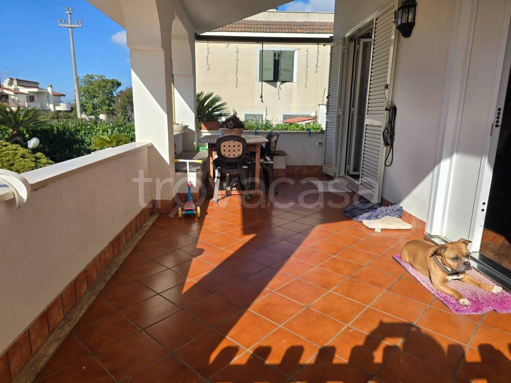 immagine annuncio 10 di 12