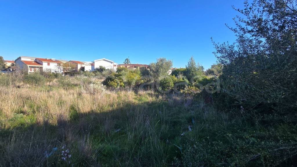 immagine annuncio 3 di 7