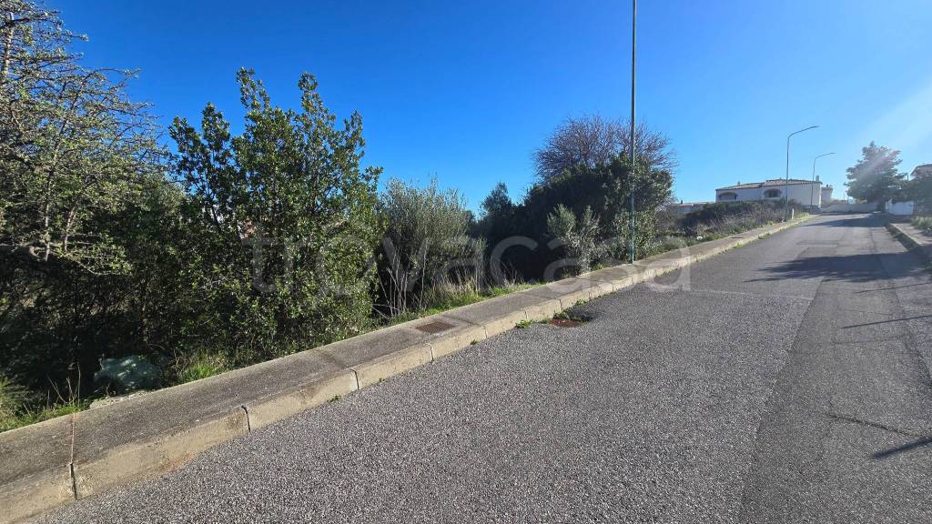 immagine annuncio 4 di 7