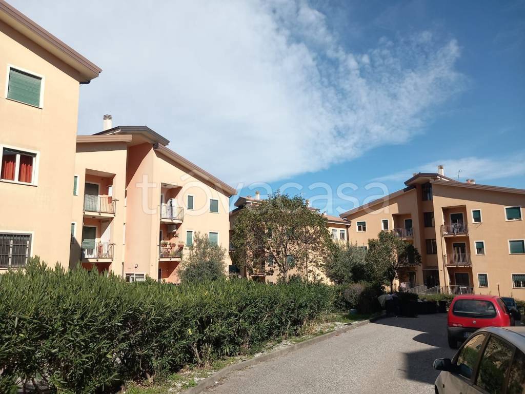 immagine annuncio 2 di 13