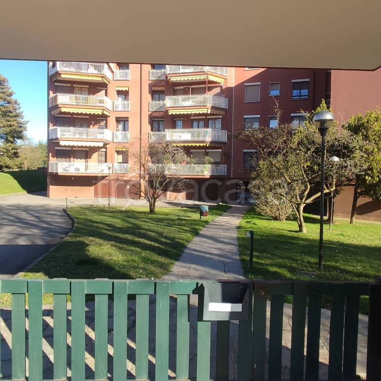 immagine annuncio 1 di 12