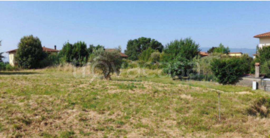 immagine annuncio 4 di 13