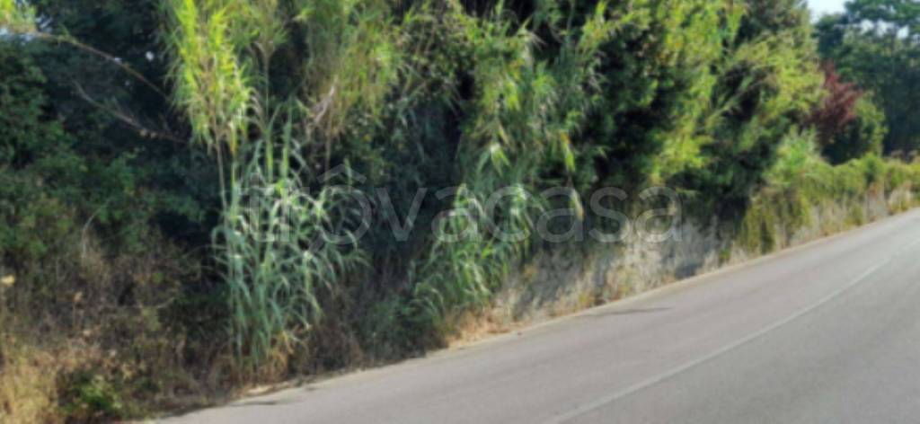 immagine annuncio 8 di 13