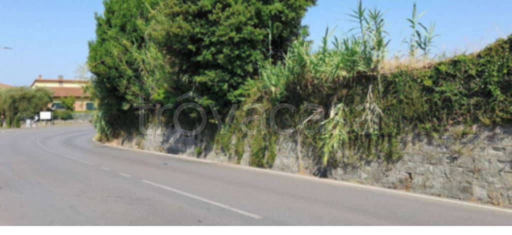 immagine annuncio 9 di 13