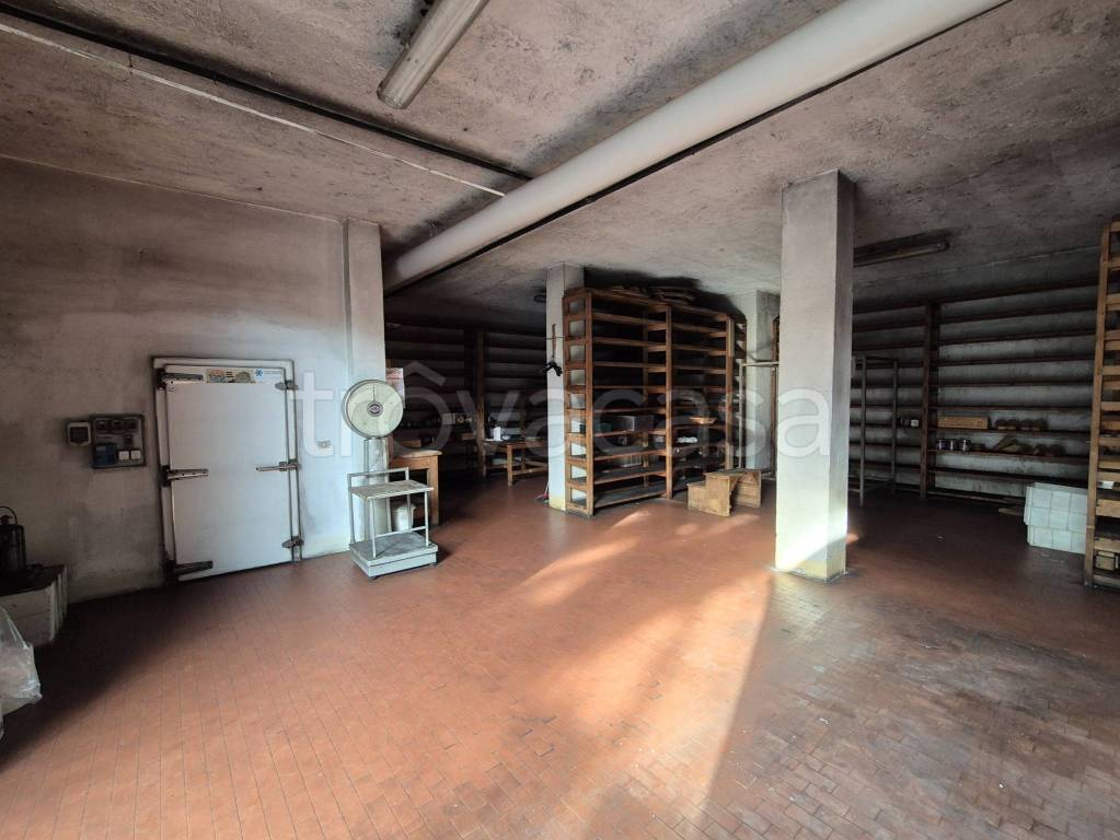 immagine annuncio 2 di 11