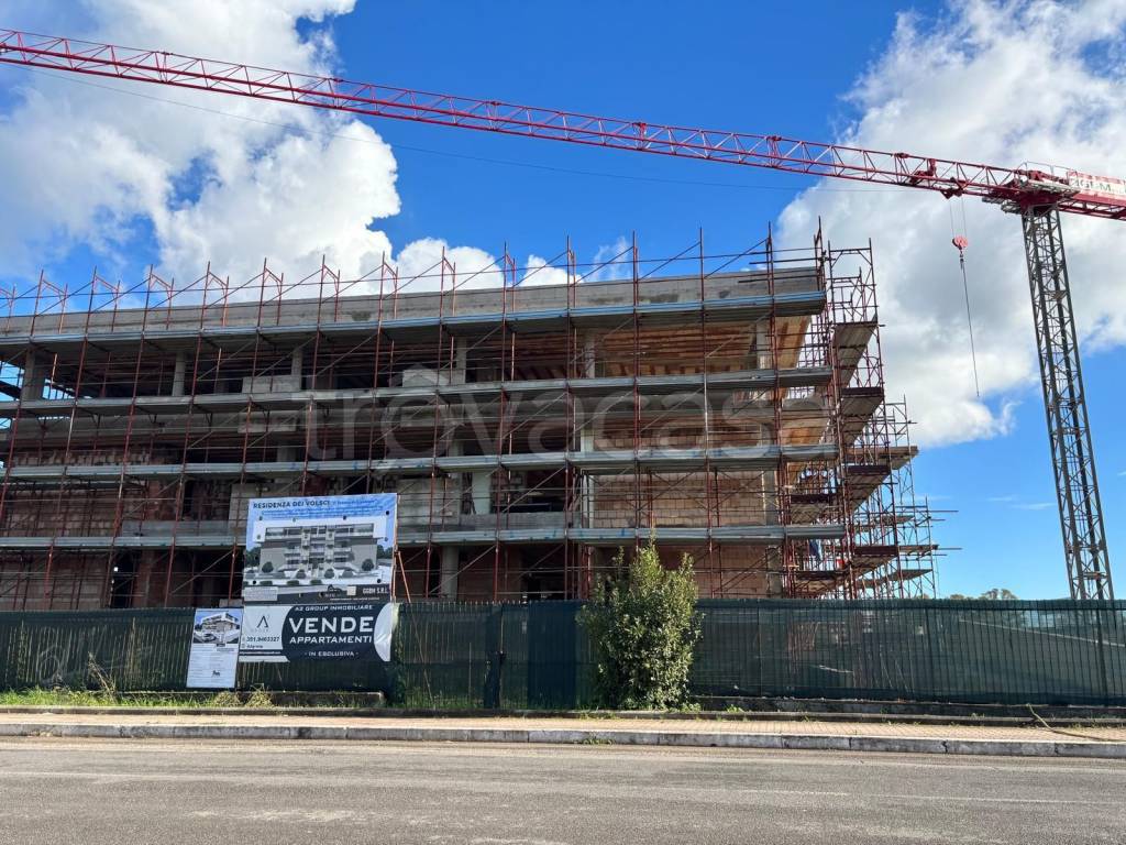 immagine annuncio 12 di 14