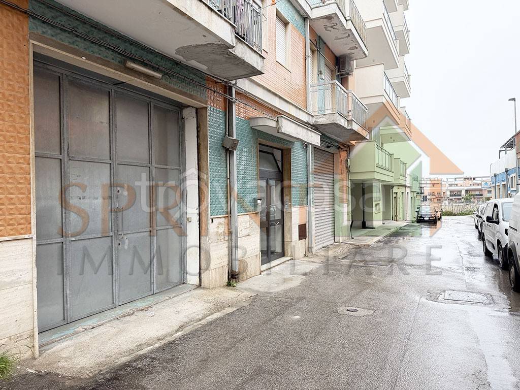 immagine annuncio 1 di 4