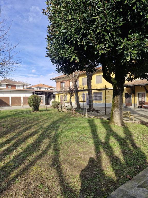 immagine annuncio 11 di 15