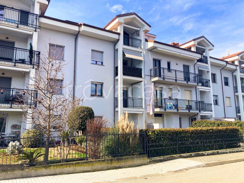 immagine annuncio 1 di 14