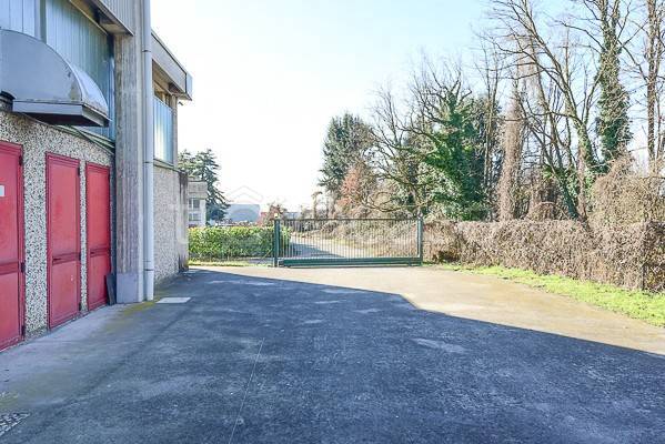 immagine annuncio 14 di 15