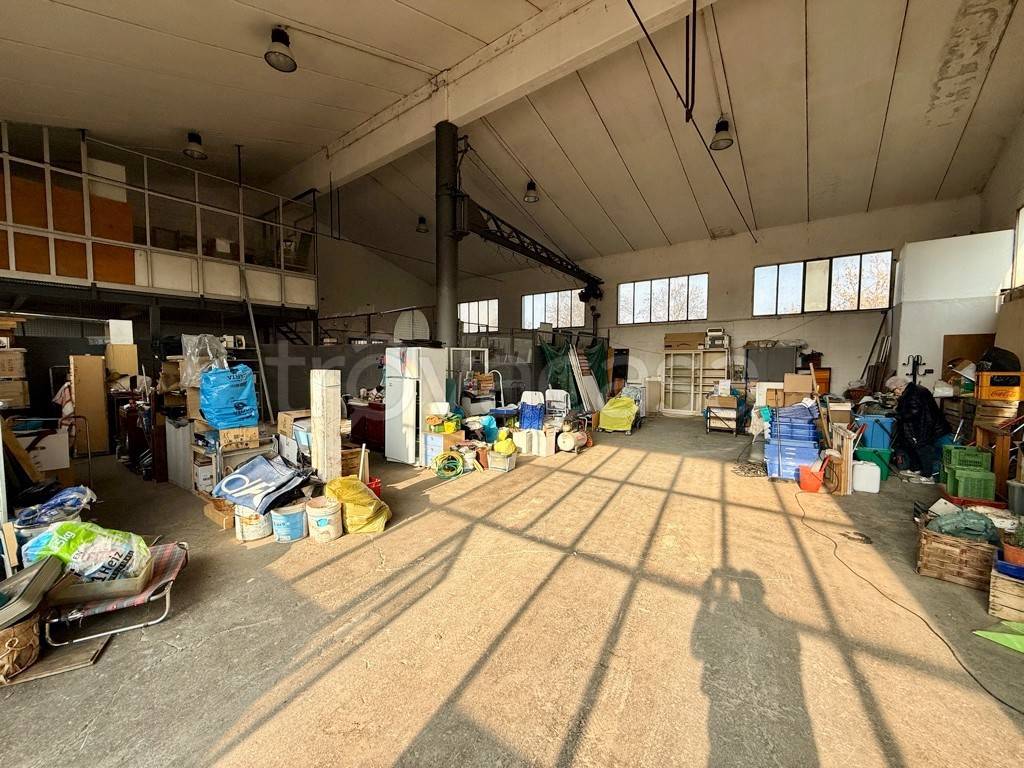 immagine annuncio 6 di 15