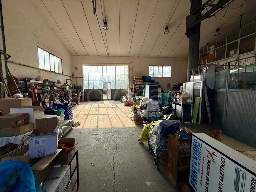 immagine annuncio 9 di 15