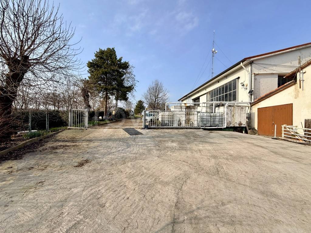 immagine annuncio 14 di 15