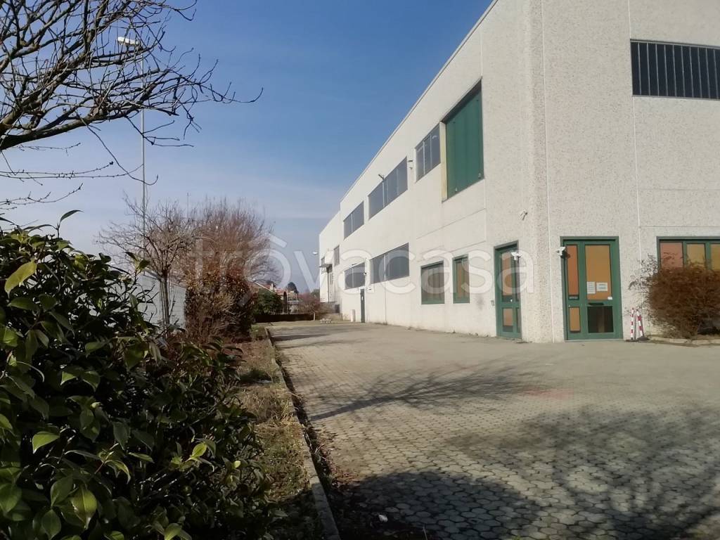 immagine annuncio 1 di 8