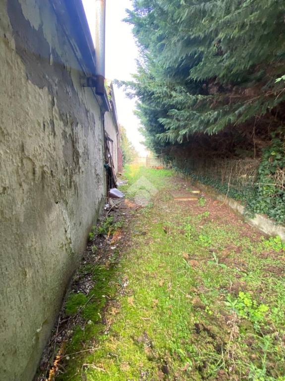 immagine annuncio 4 di 11