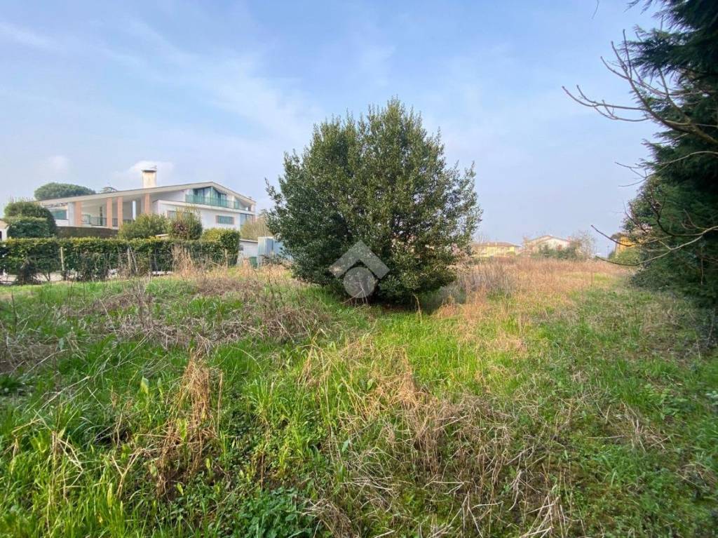 immagine annuncio 6 di 11