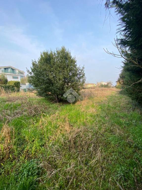 immagine annuncio 7 di 11