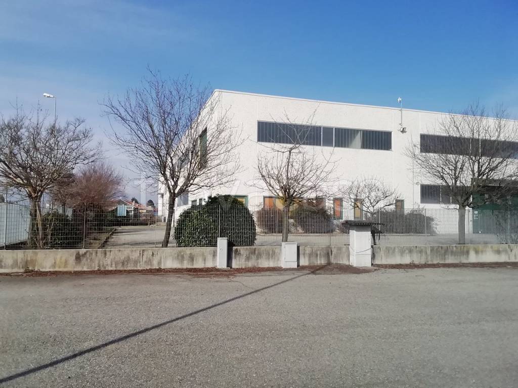 immagine annuncio 3 di 8