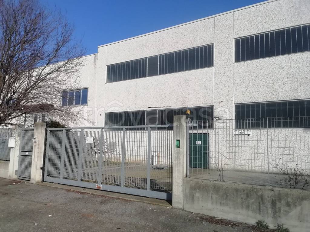 immagine annuncio 4 di 8