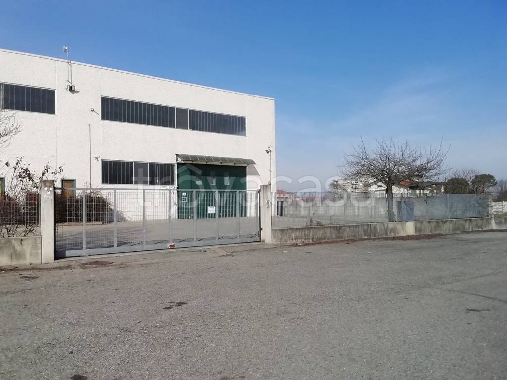 immagine annuncio 6 di 8