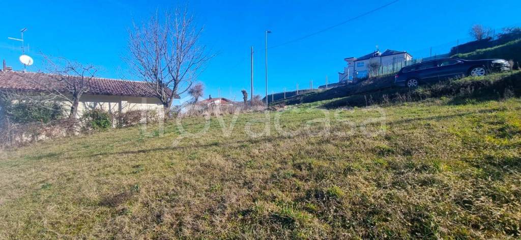 immagine annuncio 3 di 9