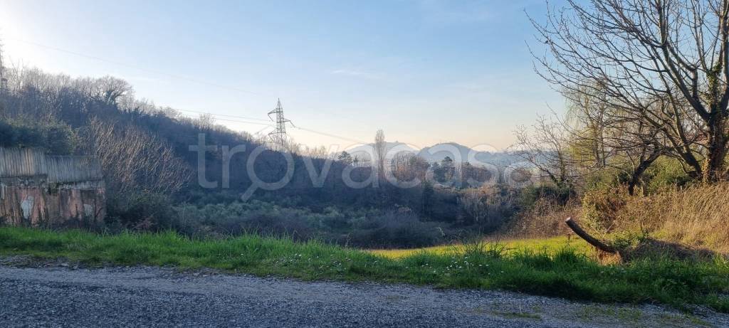 immagine annuncio 8 di 9