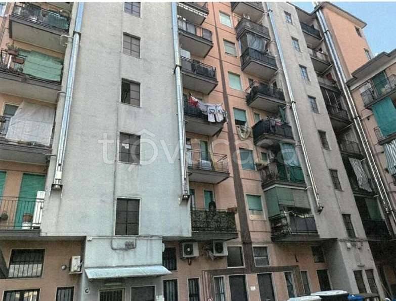 immagine annuncio 1 di 12