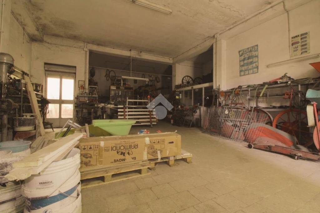 immagine annuncio 5 di 11