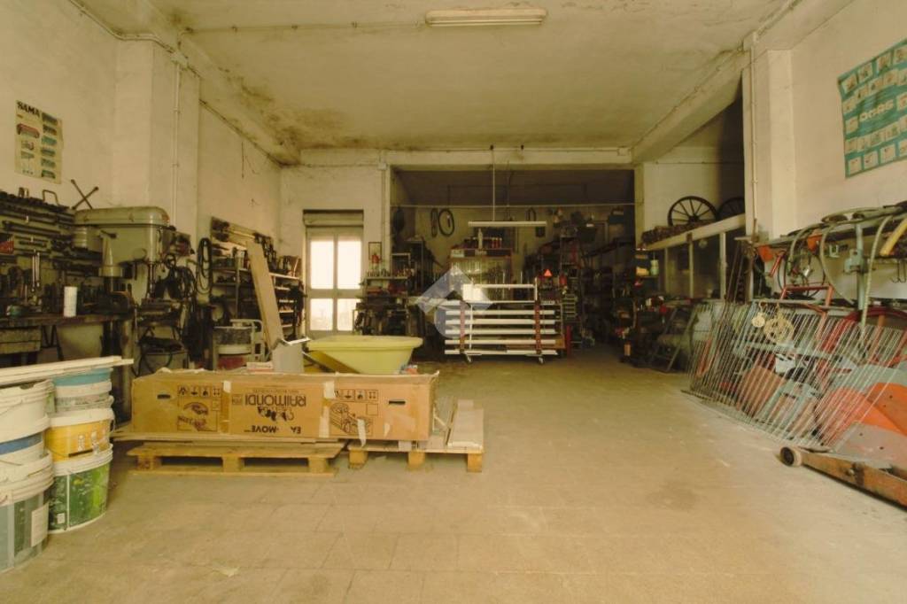 immagine annuncio 7 di 11